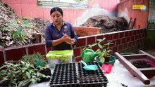 #DescubriendoHistorias en Quetzalli educación ambiental de voz de la Ing. Ambiental Sara Gómez