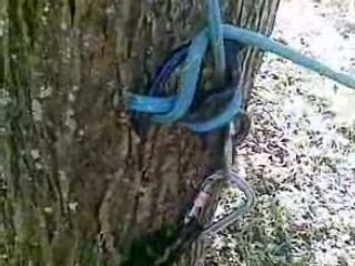 elagage - demontage par flo