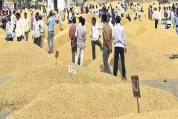 कोटा मंडी भाव: चना तेज, सरसों मंदा