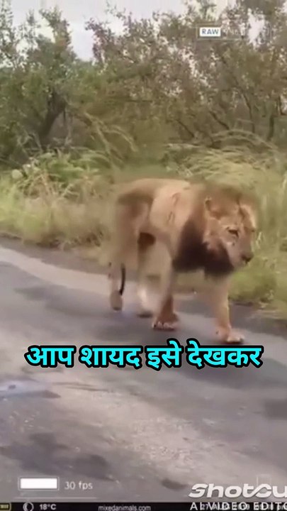 किसी को कायर समझने का परिणाम?