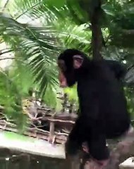 Always exploring...always curious.