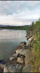 mancing ikan di sunggai