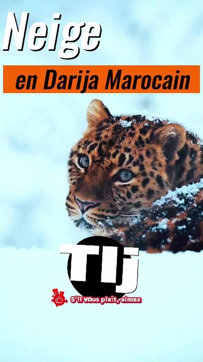 Comment dire "Neige" en Darija (Arabe Marocain) | Apprenez "Tlj" facilement