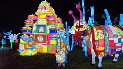 Le Festival Luminescences sur le thème "Magic indies" au Zoo d'Amnéville