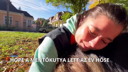 Hope, a miskolci keresőkutya lett idén az Év Hős Kutyája