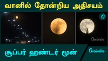 Super Hunter’s Moon Rise In Syria | Oneindia Tamil
