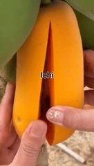 KISAH HOROR HUTAN DI BELAKANG KAMPUS #DRAMAHOROR #FYP