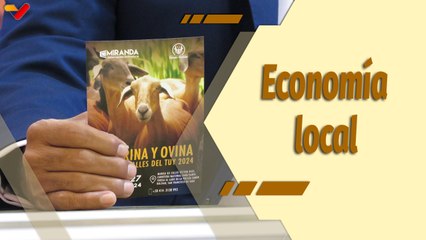 Café en la Mañana | Los Valles del Tuy se prepara para la Expoferia Caprina y Ovina 2024