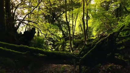 Sir David Attenborough - Dinosaurs - The Final Day