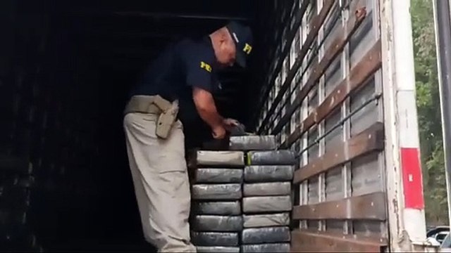 PRF apreende mais de 2 toneladas de maconha em Ponta Grossa; Caminhoneiro pegou a carga em Toledo