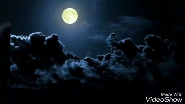 Jiwan Naat by Ankur Jyoti Buragohain | Assamese Poetry & Shayari Collection | কবিতা #poem #poetry #education #kobita #shayari