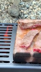 Here’s Where He’ll Be While I’m Cooking #shorts #aty #otter #WaterSausage (1920p_60fps_H264-128kbit_AAC)