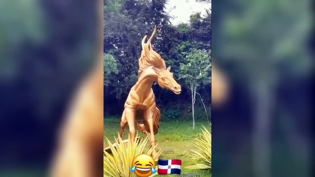 Funny Videos Compilation Pranks - Amazing Stunts #3 #funny #fails #laugh #viral
