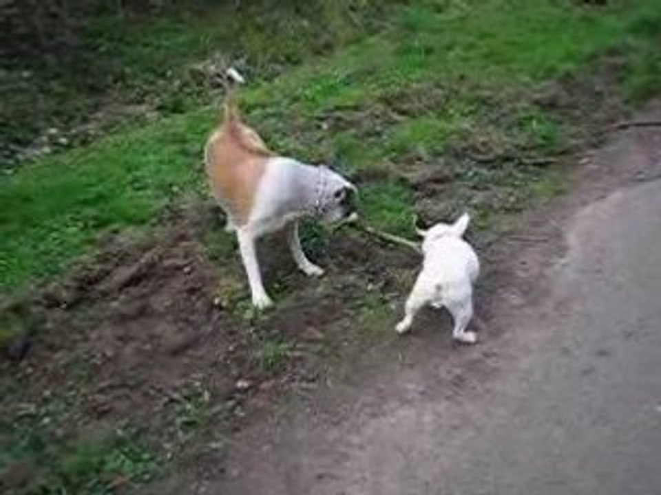 Dj vs Tina: la course poursuite