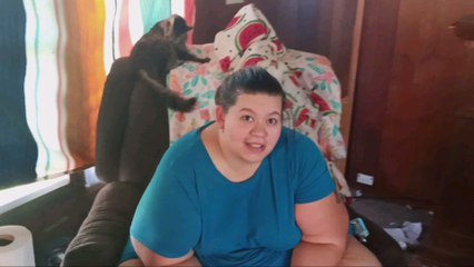 Black Sheep Going Downhill Fast Red 5