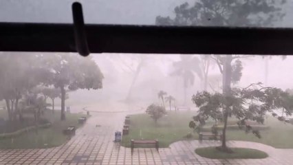 tn7-aguacero-con-fuertes-vientos-dejo-arboles-caidos-vidrios-reventados-y-otras-emergencias-181024
