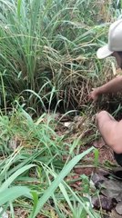 Heroic Man Rescues Abandoned Puppies and Gives Them a Second Chance 🐶