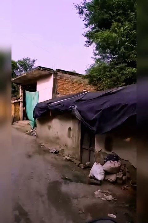 My village