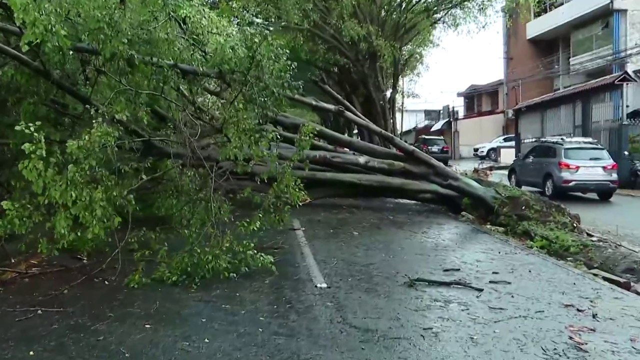 tn7-lluvias-y-fuertes-vientos-causan-daños-en-san-jose-181024
