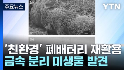 전기차 폐배터리에서 광물 뽑아내는 미생물 발견 / YTN