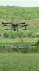 Impulsa tu Éxito con Capacitación e Innovación 🚀