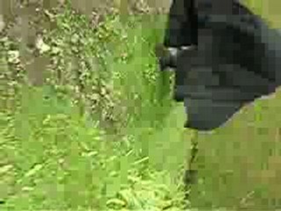 09 - Fuite dans les bois 1
