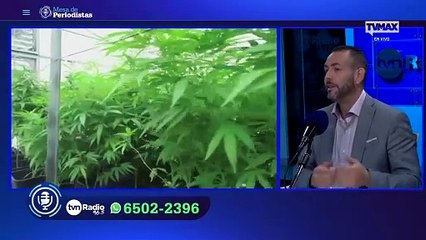 Mesa de periodistas 18 de octubre de 2024