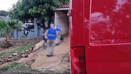 Criança de cinco anos é atacada por Pitbull ao chegar da escola