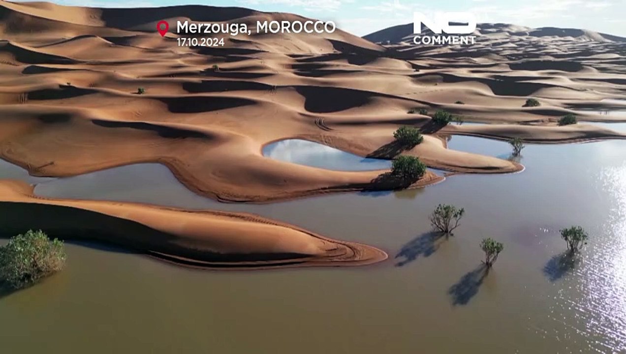 Marocco, le piogge ridanno vita a un lago nel Sahara