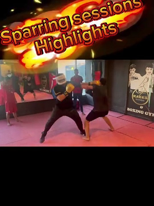 Sparring sessions no 06 Highlights