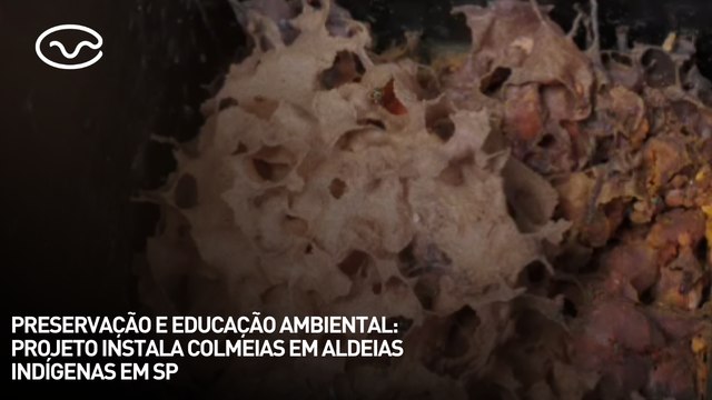 Preservação e educação ambiental: projeto instala colmeias em aldeias indígenas em SP
