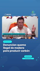 Denuncian quema ilegal de madera para producir carbón