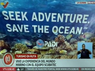 Especial | Centro de buceo Scubatec ofrece hermosos paisajes marinos y capacitación profesional