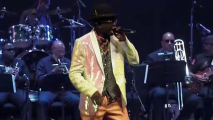 ECHOES OF BLACK STALIN