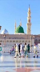 Pin_su_Proyek_untuk_dicoba_nel_2024(360P)