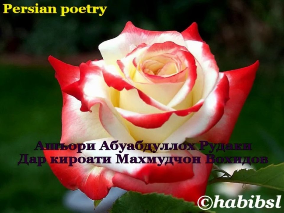 Ashori Rudaki