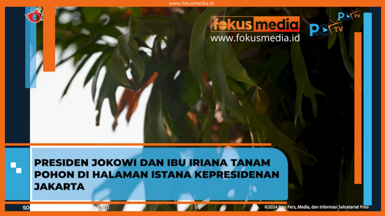 Presiden Jokowi dan Ibu Iriana Tanam Pohon di Halaman Istana Kepresidenan Jakarta