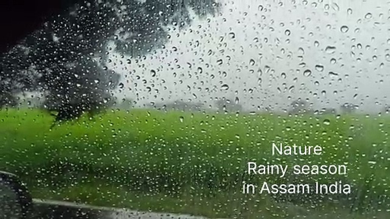 Rain