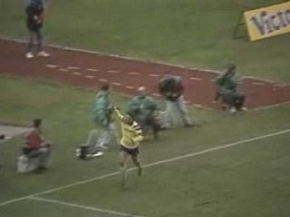 Goal R.Baggio Udinese - Juventus_0-3