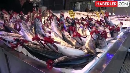 Palamut Fiyatları Hava Muhalefeti Nedeniyle Yükseldi