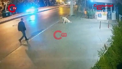 Köpeğe silah doğrultan şüphelinin dokuz ayrı suçtan kaydı çıktı