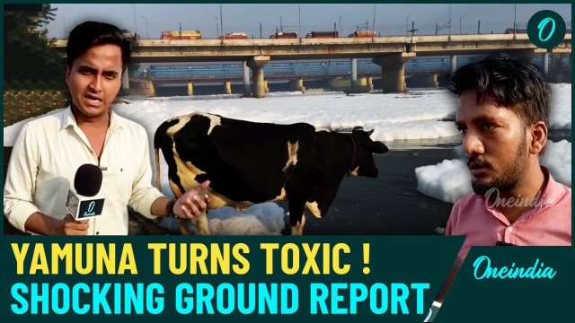 Yamuna's Toxic Foam Sparks Outrage: Delhites Worried About Holy Dip During Chhath| Watch Report