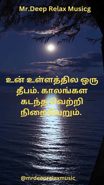 Stress Relief Music, Sleep Music, Meditation Music, Whispers of Relaxation: Your Ultimate Chill Music