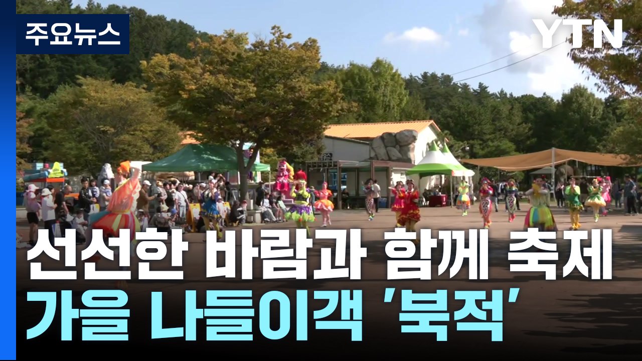 선선한 바람과 찾아온 가을...축제장 나들이객 '북적' / YTN