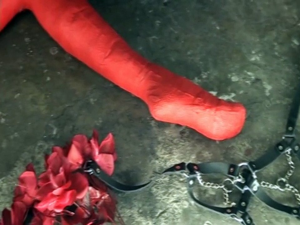 Art Exhibition:   "Insonia" Thiago Toniatto Video-Artist
