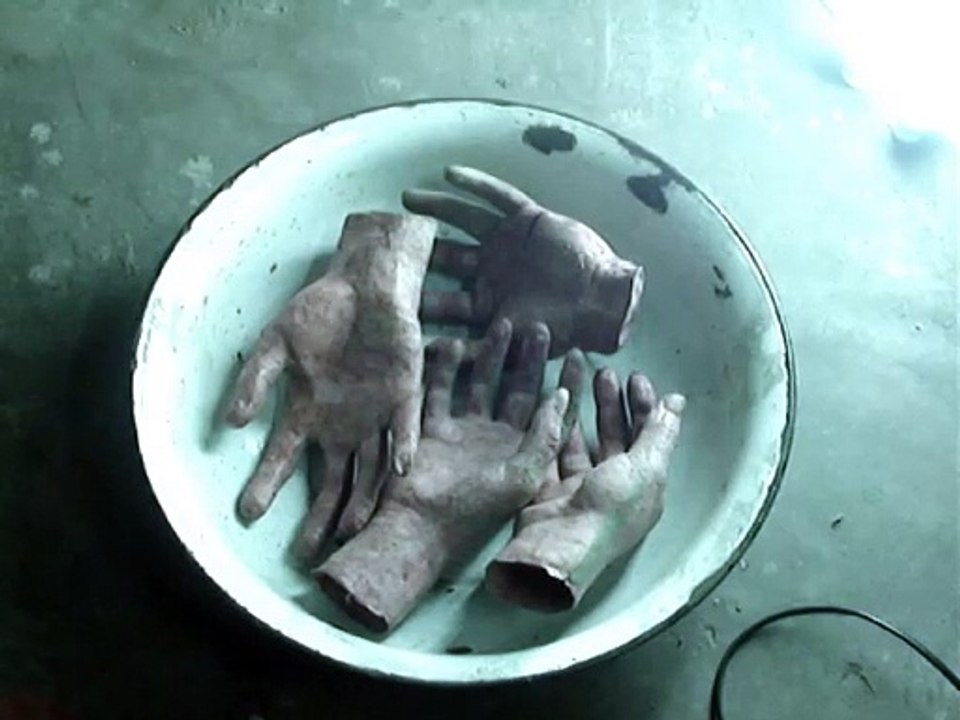 Art Exhibition:   "Hans" Thiago Toniatto Video-Artist