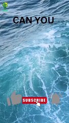 Can you guess the logo? Just in 2 seconds?