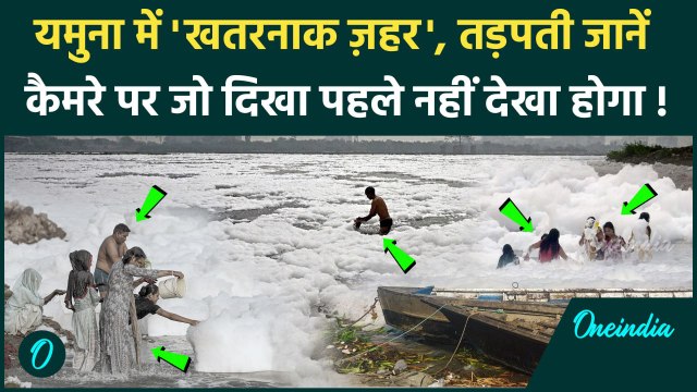 Delhi Pollution News: दिल्ली की यमुना नदी में घुला ज़हर, देखें खौफनाक वीडियो | AQI | वनइंडिया हिंदी