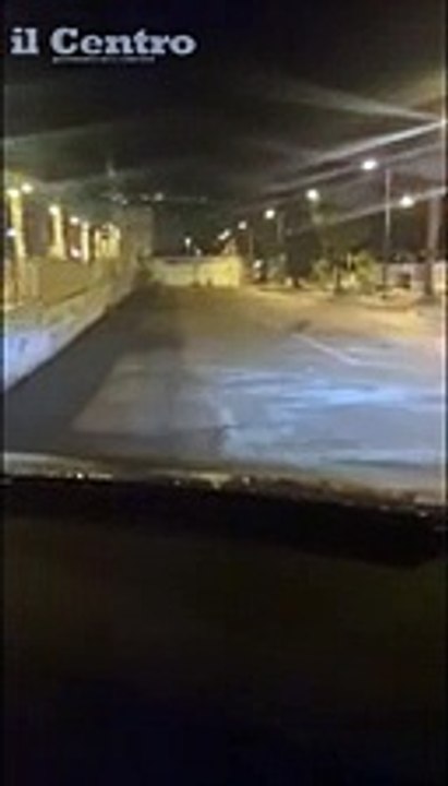 Il lupo a Vasto marina, vede l'auto e scappa