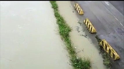 Banchine e parcheggi allagati, la situazione del fiume Pescara lungo il porto canale